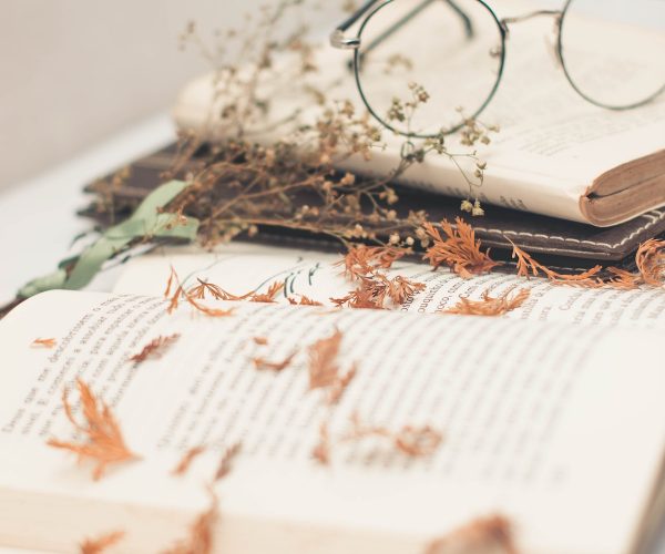 wire framed glasses atop books